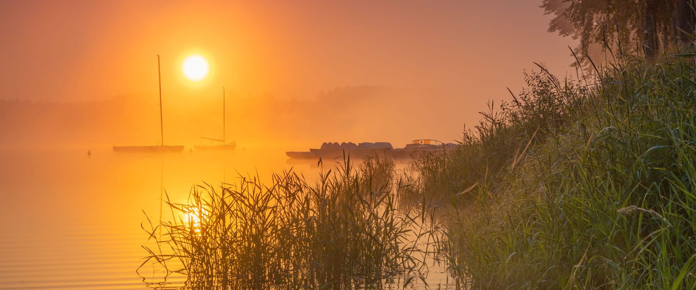 A quiet sunrise over still water under gentle warm light